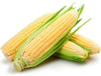 Clam-and Corn эрдэнэ шиш