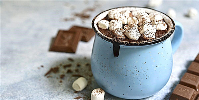 An Hot Chocolate Julius Miserere mei? Hic est quam vos postulo scio