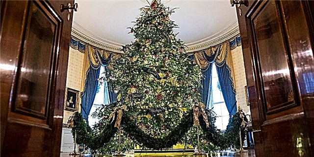 Ua mafai nei ona e faʻatauina le Aloaia 2019 White House Christmas Ornament