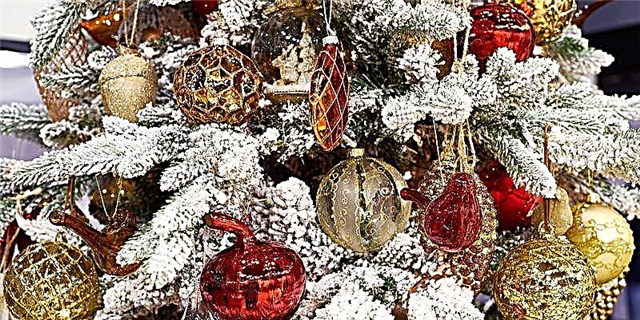 ခရစ်စမတ်အဖြူရောင်အိပ်မက်မက်သူမည်သူမဆိုအတွက်ခရစ်စမတ်သစ်ပင်စုပုံနည်းကိုဤနေရာတွင်ကြည့်ပါ
