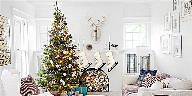Como manter unha árbore de Nadal viva todo o mes de decembro
