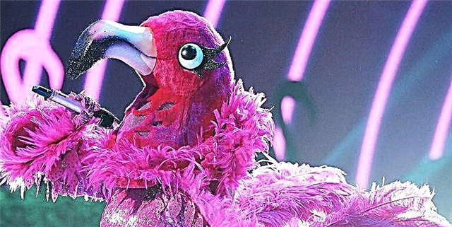 Flamingo ke Mang ea Masked Singer? Ho na le khopolo e le 'ngoe eo re e ratang