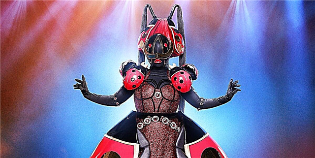 Cé hé an Ladybug ar 'The Masked Singer?' Tá an oiread sin teoiricí againn cheana féin