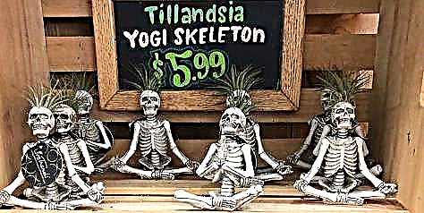Трговецот oeо очигледно има градинари на скелети и тие се продаваат насекаде