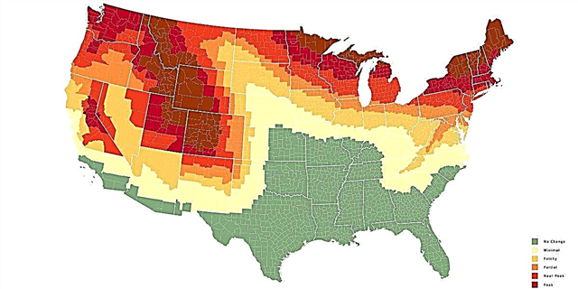 این نقشه شاخ و برگ پاییز دقیقاً وقتی برگها در ایالات متحده تغییر می کند پیش بینی می کند.