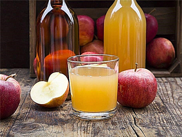 Фарқи байни Apple Cider ва Juice Apple?