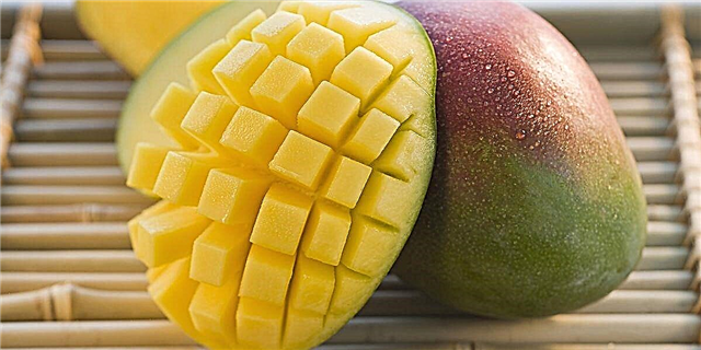 Hier is u stap-vir-stap handleiding oor hoe u 'n mango kan sny