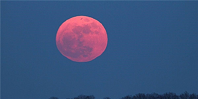 Ružičasti mjesec dolazi ovog proljeća: evo svega što trebate znati