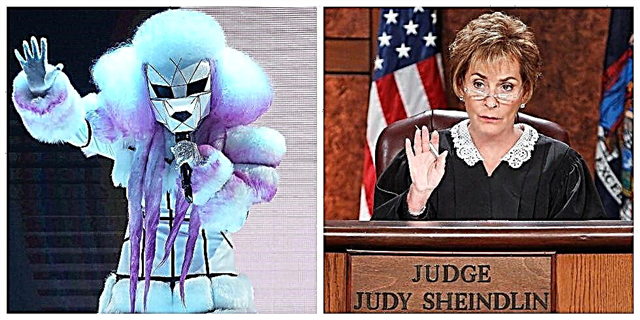 ყველას სურს 'ნიღბიანი მომღერალი' პუდელის მოსამართლე იყოს