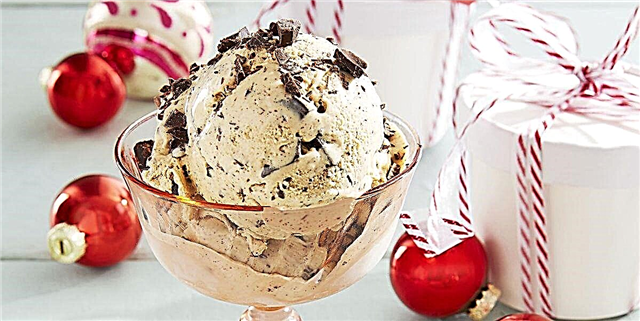 Đumbir-čokoladni komad sladoleda bez prženja