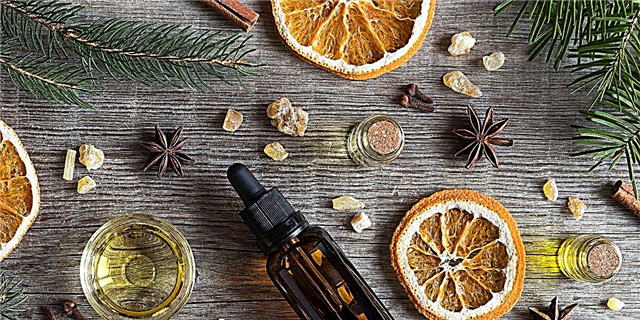 Овие најважни масла ќе го направат вашиот дом дома да мириса како Божиќ