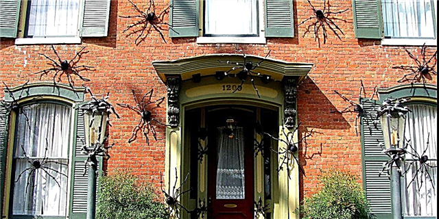 Regale aos teus veciños a decoración de Halloween de araña grande