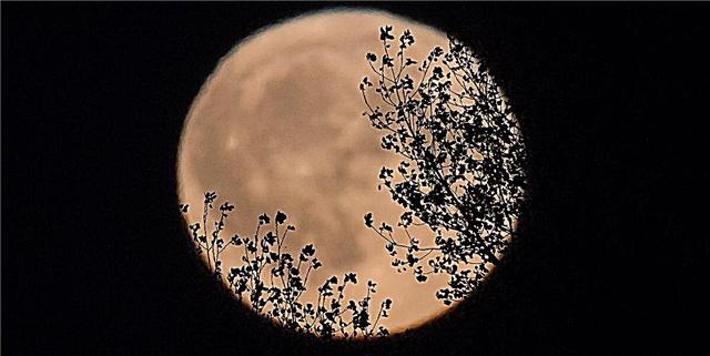 Pehea la kahi mahina mahina? All All About the Lunar Spectacle that Means fall is Eia
