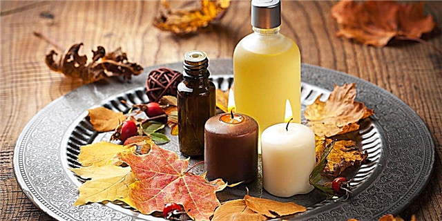 Эти эфирные масла сделают ваш дом пахнуть, как осень