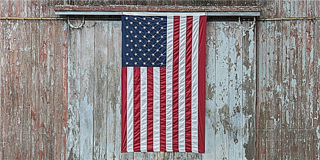 Ահա ամերիկյան մաշված դրոշը տնօրինելու ճիշտ ճանապարհը