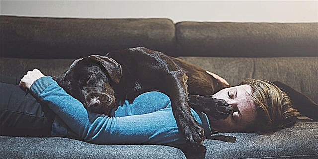 Un novo estudo di que é perfectamente bo compartir a cama co teu can