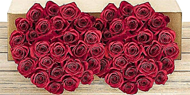 Ji Swoon re amade bikin: Costco Tenê 50 Roses Tenê Ji bo $ 50 difroşin