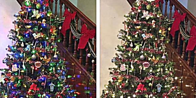 Kjo pemë e Krishtlindjes do t'i japë fund të gjitha argumenteve mbi dritat e qarta ose me ngjyra
