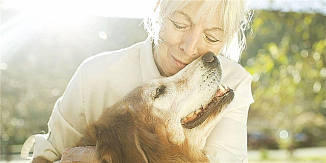 Eng Texas Fra gouf diagnostizéiert mat 'Broken-Heart Syndrome' nodeems hiren Hond stierft