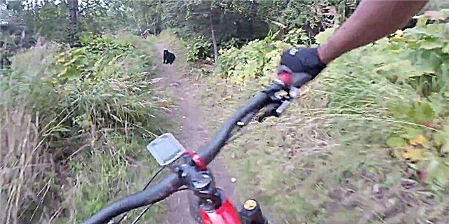 لحظه های ترسناک را دنبال کنید که یک دوچرخهسوار مسیرهای با یک خرس را با یک خرس در یک مسیر بگذرد