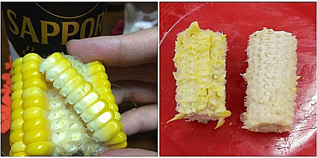 Ovaj genijalni krak pokazuje kako da dobijete najviše kukuruza od kaldrme