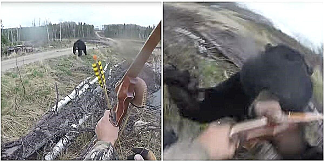 Это видео о том, что черный медведь заряжает охотника, просто ужас