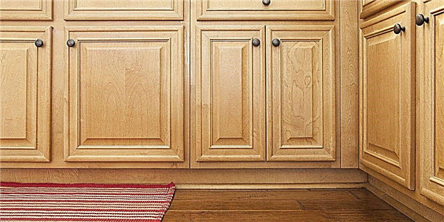 هم اکنون طراحان عاشق این رنگ برای کابینت های آشپزخانه هستند