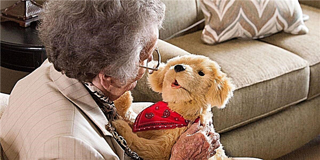 Como os cans e os gatos robóticos están a proporcionar comodidade aos maiores con demencia