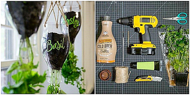 Како да ги претворите пластичните шишиња во најсебената градинарска зелена трева за вашата кујна