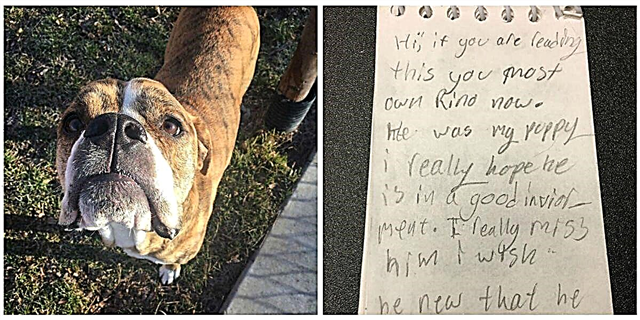 Այս շունը մնացել էր ապաստարանում ՝ իր նախկին ընտանիքի սրտացավ գրությամբ