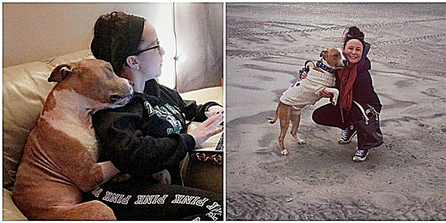 Esta foto viral dun can de abrigo que abraza á súa nova nai fundirá o seu corazón