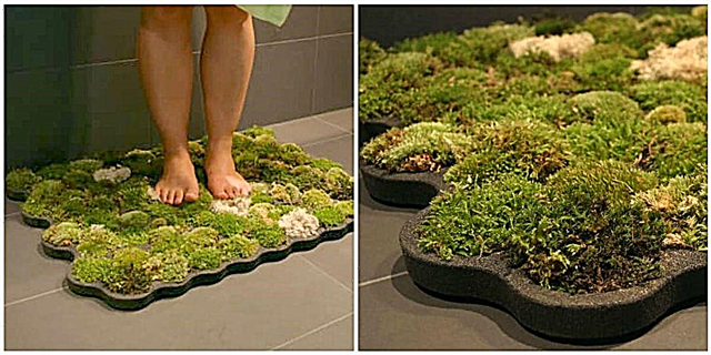 Esta alfombra de baño de musgo engade un fermoso toque de natureza ao teu baño