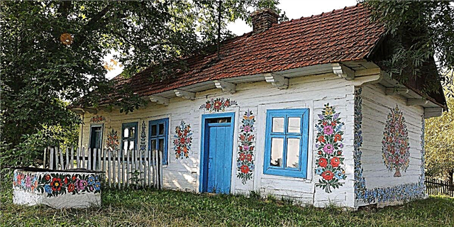 Այս փոքր գյուղի բոլոր շենքերը ծածկված են ծաղիկների նկարներով