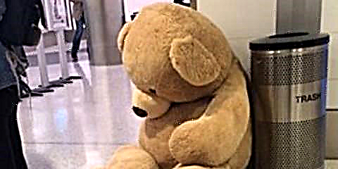 TSA nyerat Pos Paling Saddest Ngeunaan Beruang Giant Ieu Anu Dipingkirkeun Di Bandara