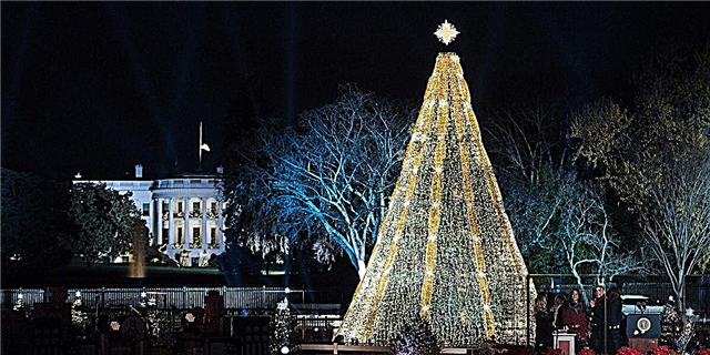 Svona er hægt að horfa á National Christmas Tree Lighting
