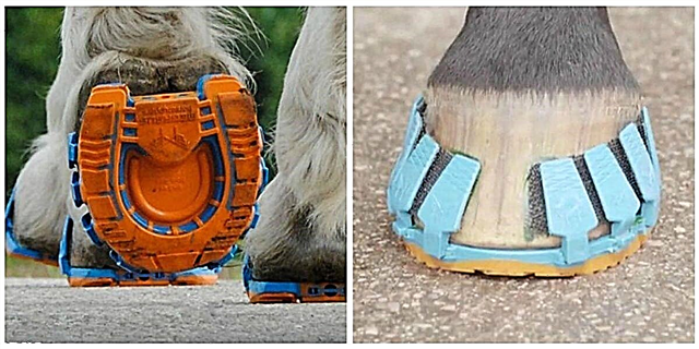 به لطف این اختراع جدید ، کفش های اسب آهن به زودی منسوخ می شوند