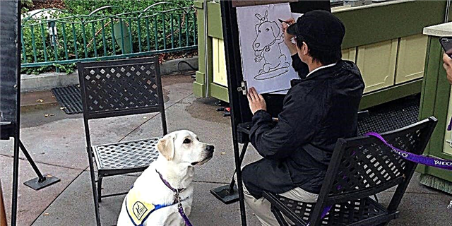 Interneti po shkrihet për këtë qen të shërbimit duke marrë me kujdes karikaturën e tij në Disneyland