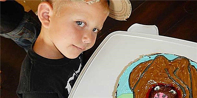 یہ سارا فارم سے پیار کرنے والا لڑکا اپنی سالگرہ کے لئے چاہتا تھا ایک 'گائے کو ایک بچھڑے کو جنم دینے والا' کیک تھا