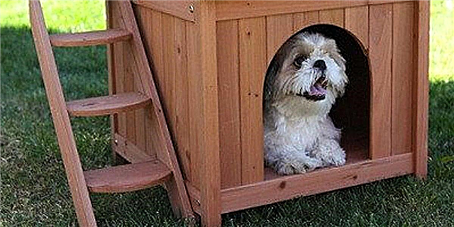 Այս Doggy Dream House- ը գալիս է իր սեփական տանիքի բակում