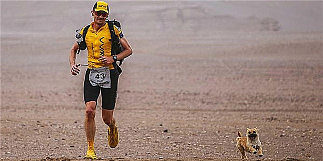 Այս վազող որդին ընդունում է թափառող շանը, որը 77 մղոնով վազում էր նրա հետ անապատում