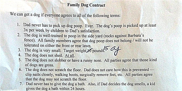 Papá escribe un contrato de can Hilario antes de permitir aos seus fillos conseguir un cachorro