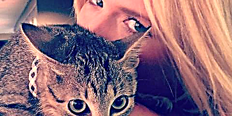 Miranda Lambert Na faatoa vaʻai i le Cutest Rescue Cat