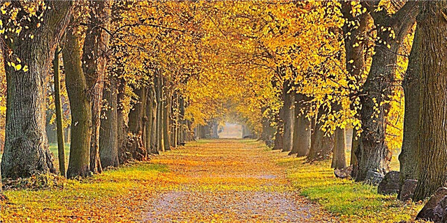18 najčarobnijih jesenjih senzacija