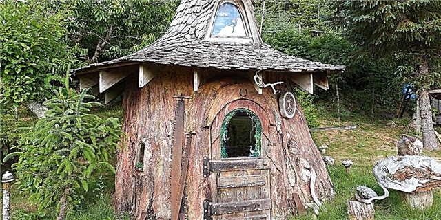 Ib Tug Txiv Neej Tau Siv Nyiaj Ntau Lawm 22 Xyoos Carving Out No Tiny Tree Stump House