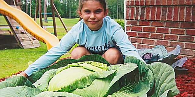 Оваа девојка порасна зелка од 40 фунти што храни 275 гладни луѓе