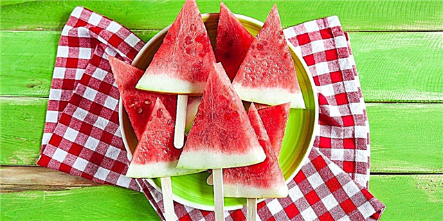 16 подобри начини да уживате во лубеницата ова лето