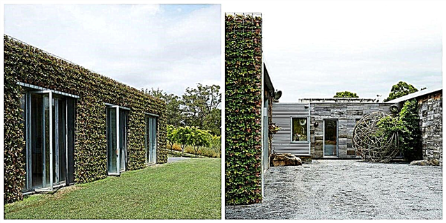 این خانه منحصر به فرد دیوارها را با باغ های عمودی جایگزین می کند