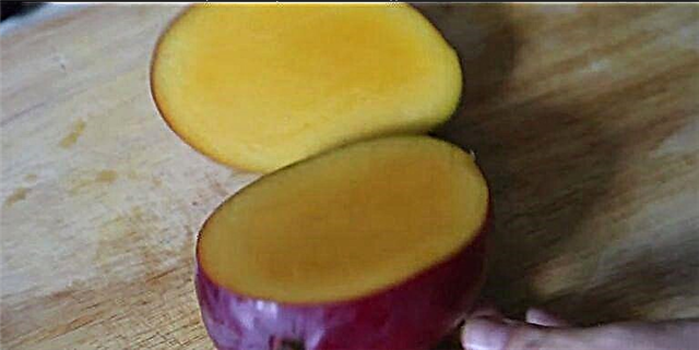 Bu uyatli fokus sizga mangoni po'stidan tozalashga yordam beradi