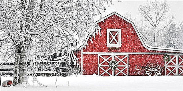10 fermosas fotos do granero vermello de Snowy para celebrar a tempada