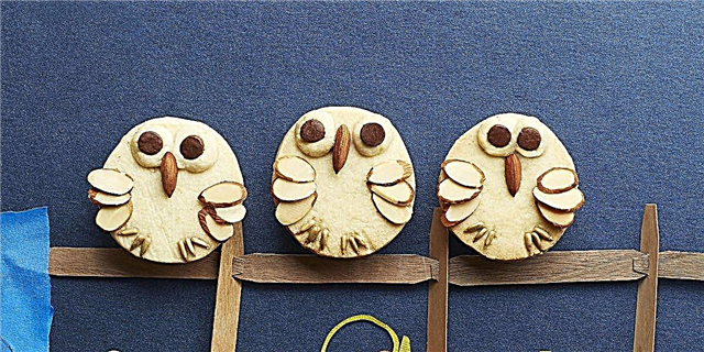 Ma almond Shortbread Owls